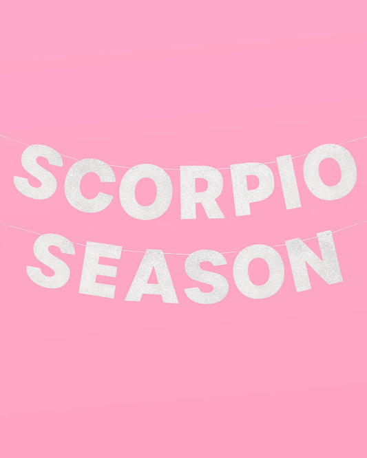 Scorpio Season Banner - silver glitter banner
