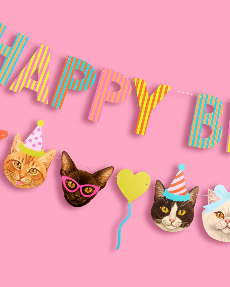 Crazy Cat Banner - really fun party banner