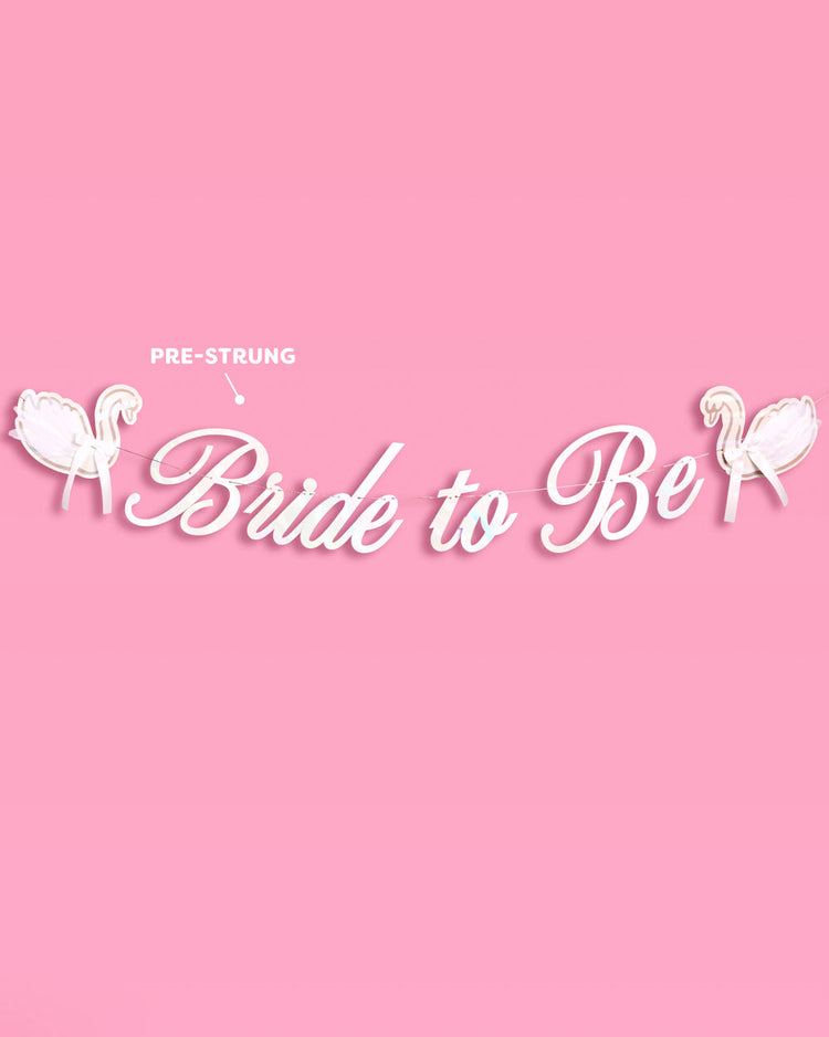 Swan to Be Banner - iridescent foil banner