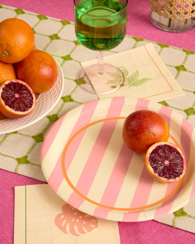 Pool Boy Plates - 24 striped paper plates