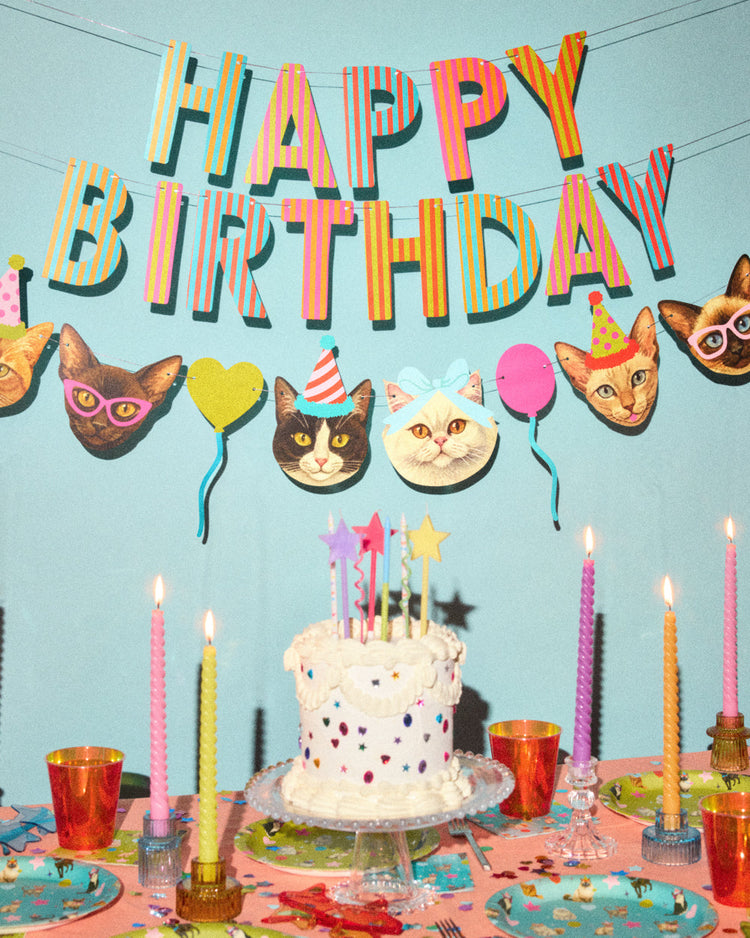 Crazy Cat Banner - really fun party banner