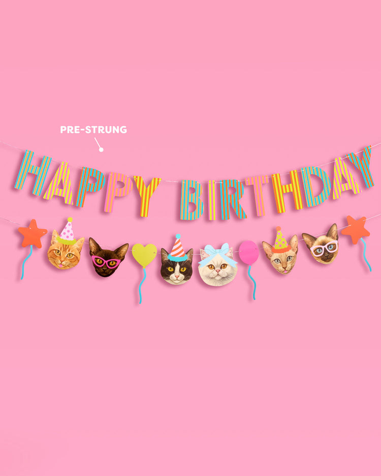 Crazy Cat Banner - really fun party banner