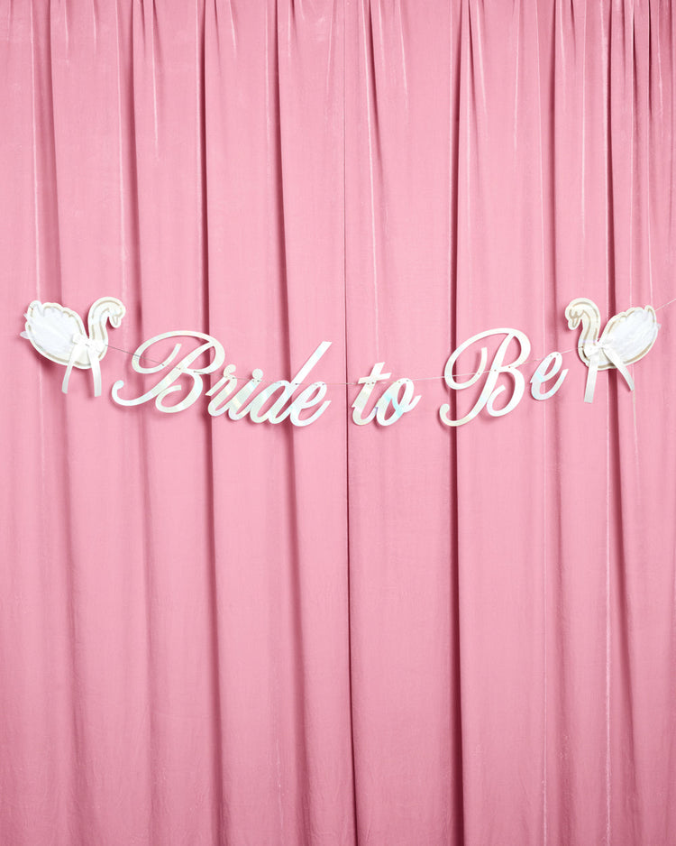 Swan to Be Banner - iridescent foil banner