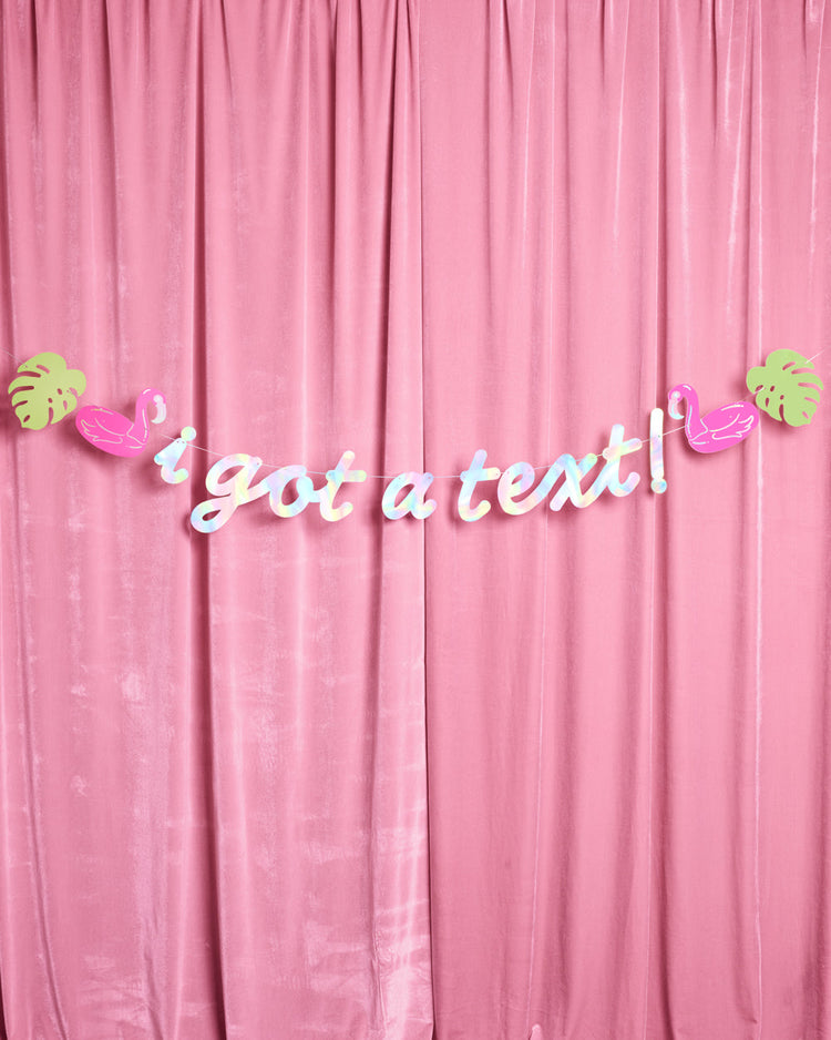 I Got A Text Banner - iridescent foil banner