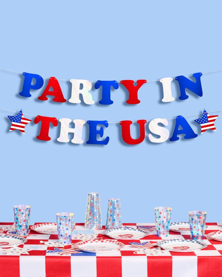 Party In The USA Banner - iridescent foil banner
