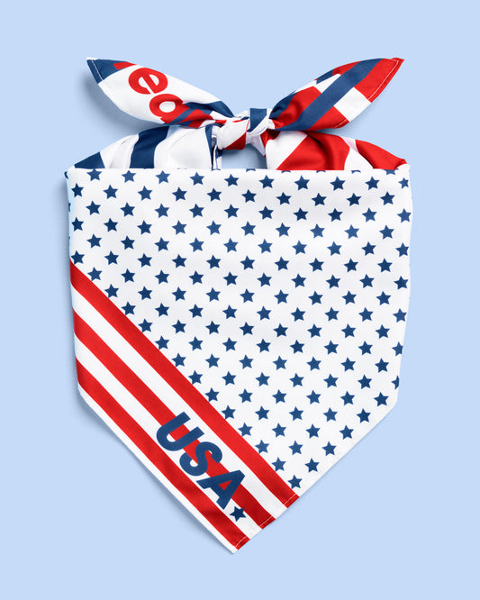 World Cup Bandana - square bandana