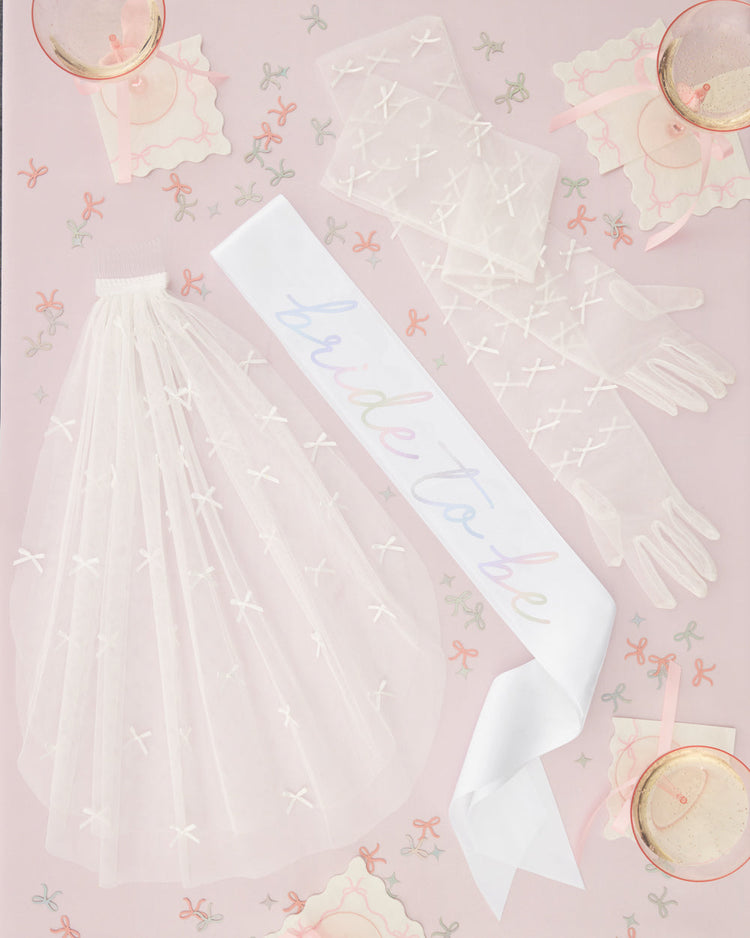 Tying the Knot Pack - sash, veil + gloves